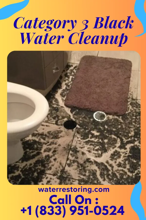 Category 3 Black Water Cleanup in Boneau, MT