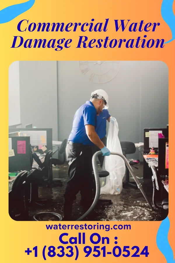 Commercial Water Damage Restoration in Boneau, MT
