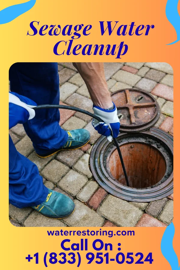 Sewage Water Cleanup in Boneau, MT